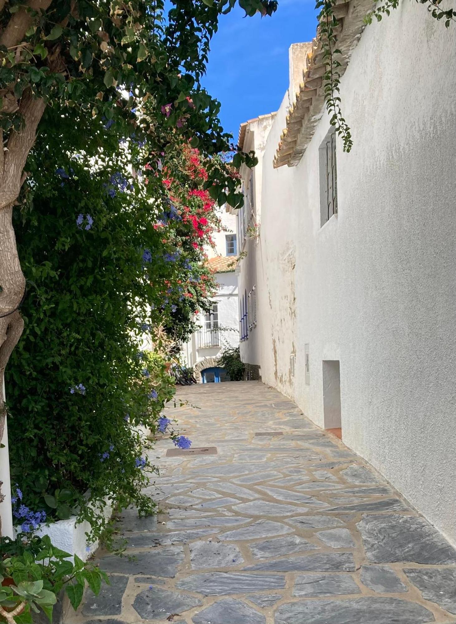 Apartament Palau